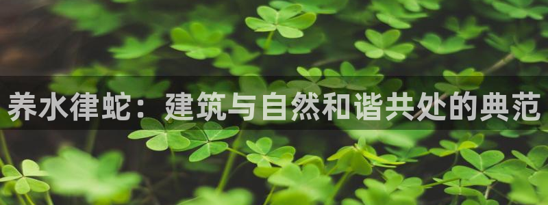 安信12平台怎么样：养水律蛇：建筑与自然和谐共处的典范