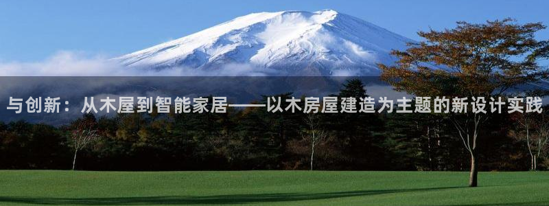 安信12主管