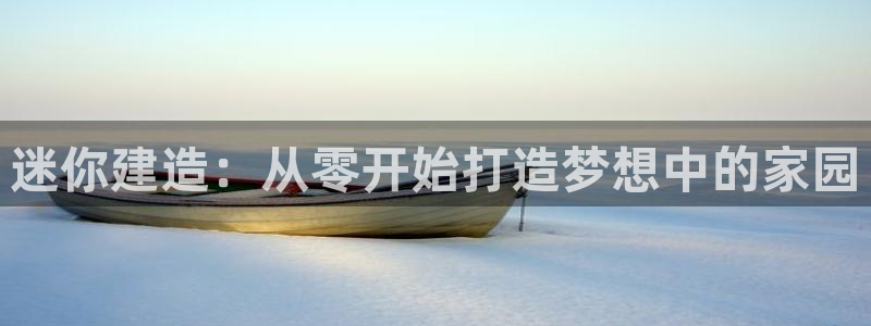安信esp 12k