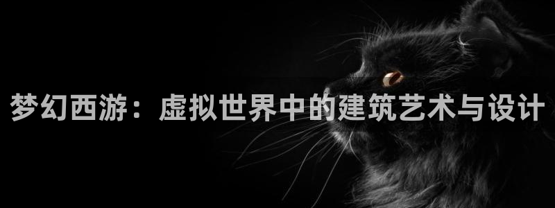 安信12招商