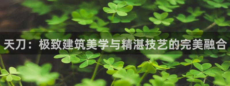 安卓12微信