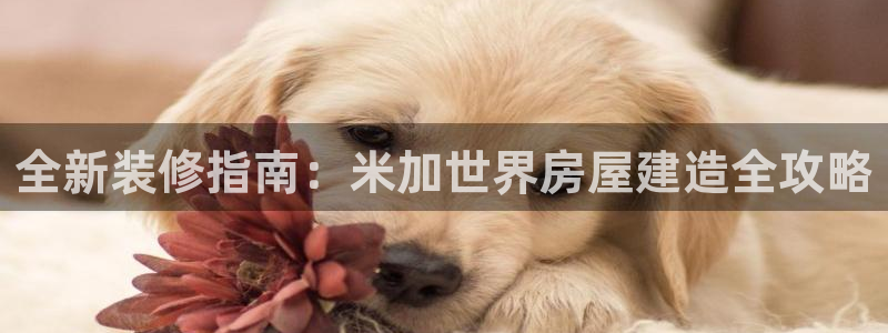 安信12注册登录下戴：全新装修指南：米加世界房屋建造全攻略