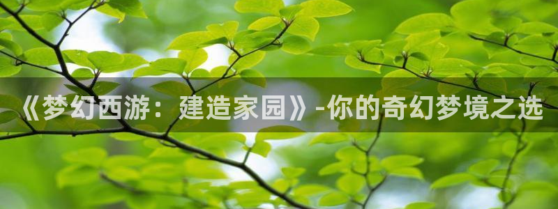 安信12是啥：《梦幻西游：建造家园》-你的奇幻梦境之选