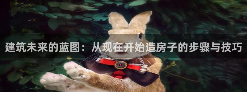 12月安信推荐：建筑未来的蓝图：从现在开始造房子的步骤与技巧