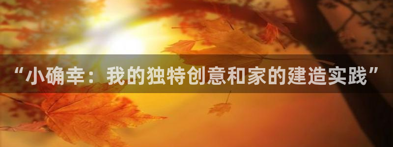 安信12招商：“小确幸：我的独特创意和家的建造实践”