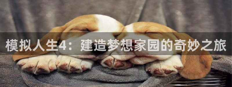 安信12彩票app下载：模拟人生4：建造梦想家园的奇妙之旅