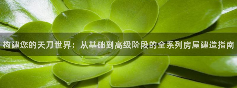 安信12注册登录：构建您的天刀世界：从基础到高级阶段的全系列房屋建造指南