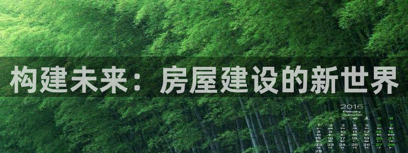 安信12是正规还是仿：构建未来：房屋建设的新世界