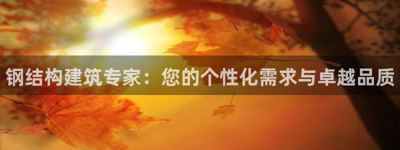 安信12周年庆：钢结构建筑专家：您的个性化需求与卓越品质