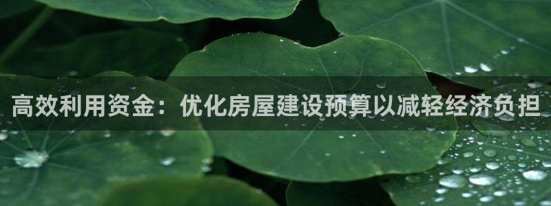 安信12app下载：高效利用资金：优化房屋建设预算以减轻经济负担