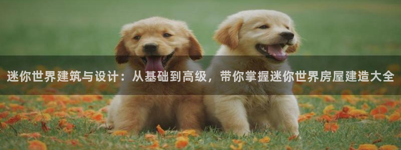 安信主管su金12手12指tq：迷你世界建筑与设计：从基础到高级，带你掌握迷你世界房屋建造大全