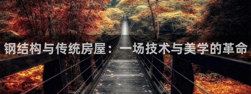 安信312 12：钢结构与传统房屋：一场技术与美学的革命