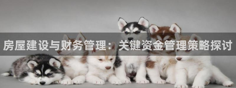 安信信托12 期：房屋建设与财务管理：关键资金管理策略探讨
