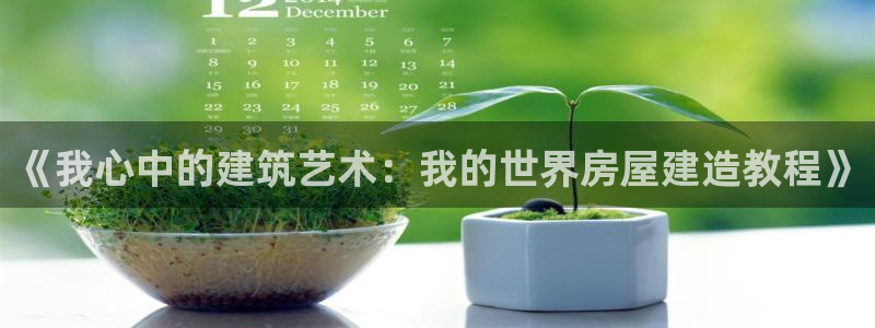 安信4特邀55 12：《我心中的建筑艺术：我的世界房屋建造教程》