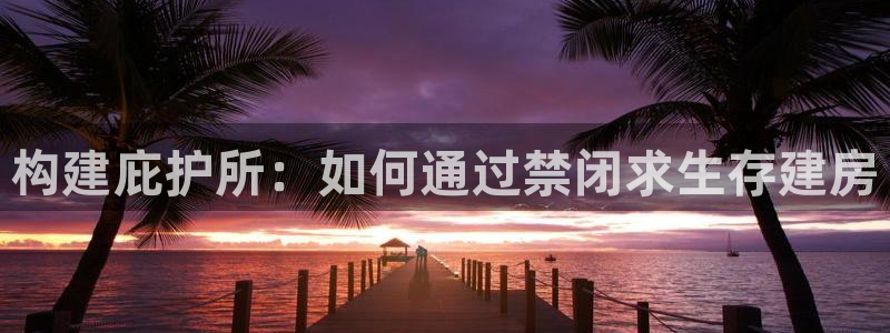 安信12怎么注册：构建庇护所：如何通过禁闭求生存建房