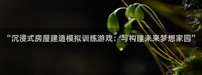 esp-12s安信：“沉浸式房屋建造模拟训练游戏：与构建未来梦想家园”