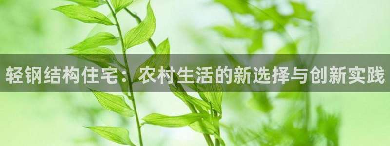 安信12注册：轻钢结构住宅：农村生活的新选择与创新实践