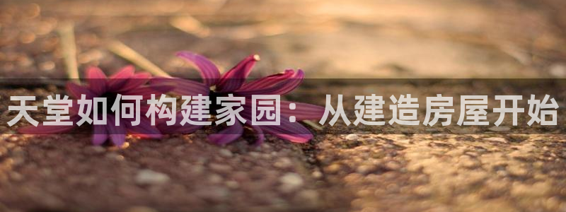 安信证券手机壳12：天堂如何构建家园：从建造房屋开始