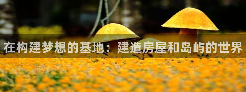 下载安信12：在构建梦想的基地：建造房屋和岛屿的世界