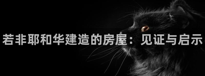 信安杯12