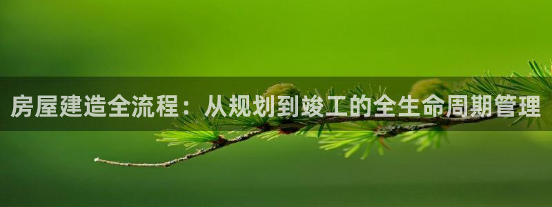 安信12娱乐招商：房屋建造全流程：从规划到竣工的全生命周期管理