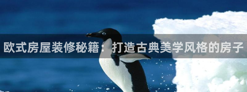 安信12是做什么：欧式房屋装修秘籍：打造古典美学风格的房子