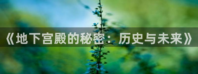 如何注销安信12软件：《地下宫殿的秘密：历史与未来》
