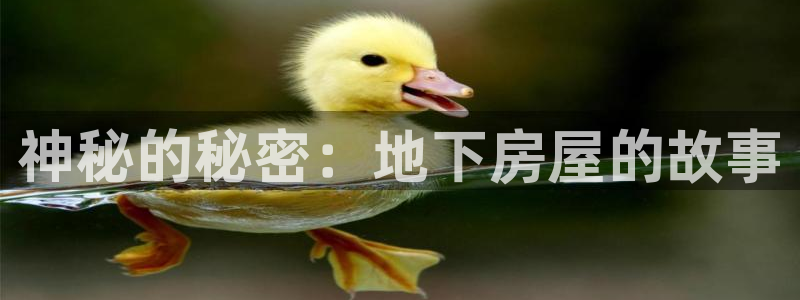 安立信T12测评：神秘的秘密：地下房屋的故事