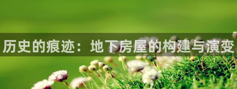 安信4特邀55 12：历史的痕迹：地下房屋的构建与演变