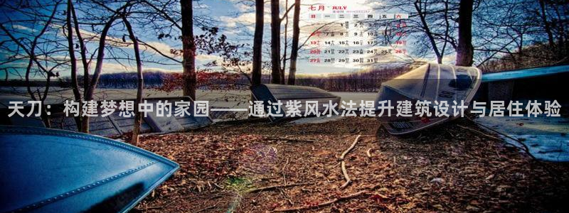 安信12想开户：天刀：构建梦想中的家园——通过紫风水法提升建筑设计与居住体验