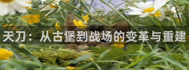 安信12彩票
