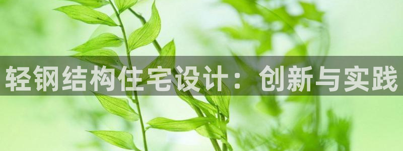 安信安翼 12账号：轻钢结构住宅设计：创新与实践