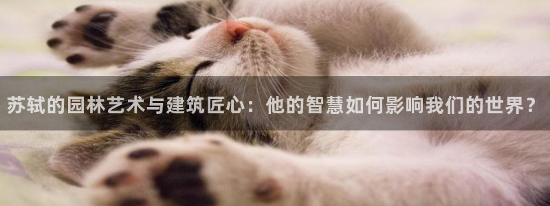 安信12真假：苏轼的园林艺术与建筑匠心：他的智慧如何影响我们的世界？