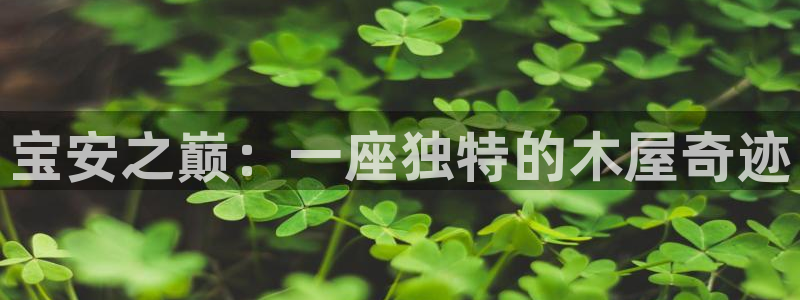 安信娱乐12登录地址：宝安之巅：一座独特的木屋奇迹