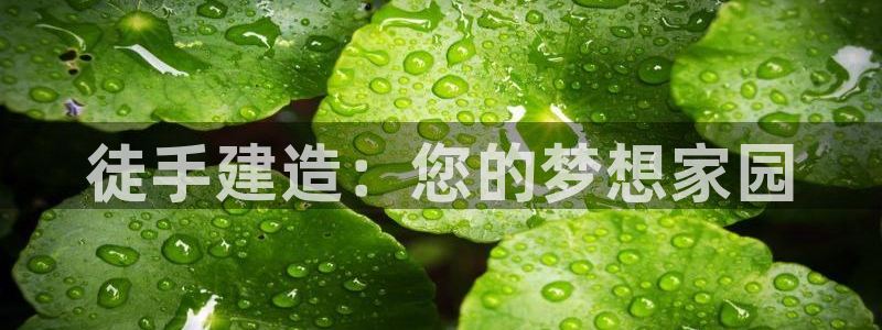 安信12级