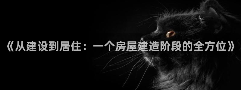 安信安赢12号