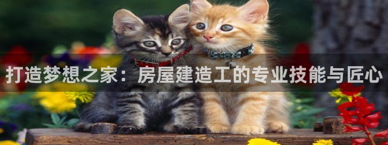 安信12负责人