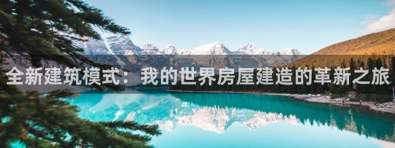 安信4特邀55 12：全新建筑模式：我的世界房屋建造的革新之旅