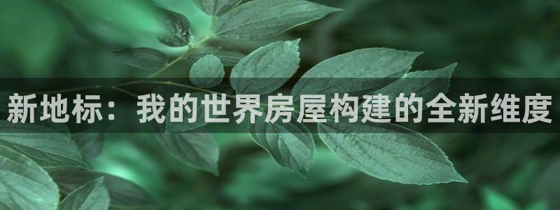 安信12娱乐开户：新地标：我的世界房屋构建的全新维度