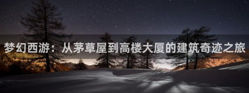 安信122853179Z空间：梦幻西游：从茅草屋到高楼大厦的建筑奇迹之旅
