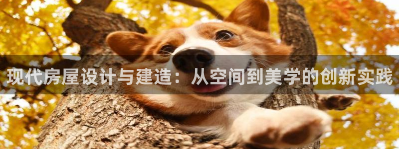 安信12娱乐登录：现代房屋设计与建造：从空间到美学的创新实践