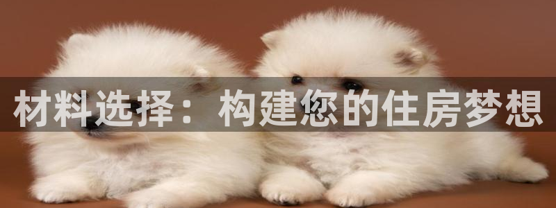 安信12平台下载：材料选择：构建您的住房梦想
