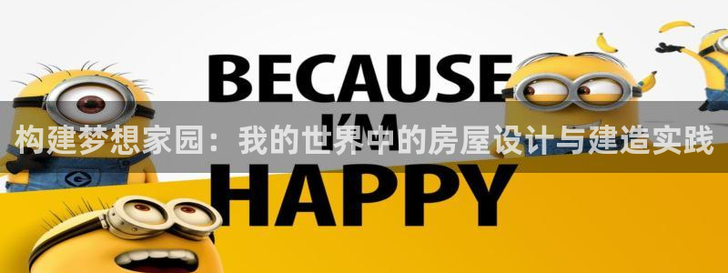 安信可12f：构建梦想家园：我的世界中的房屋设计与建造实践