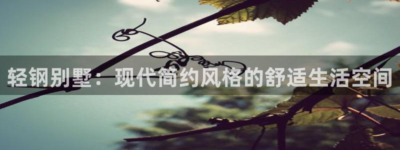 安信12平台的网址：轻钢别墅：现代简约风格的舒适生活空间