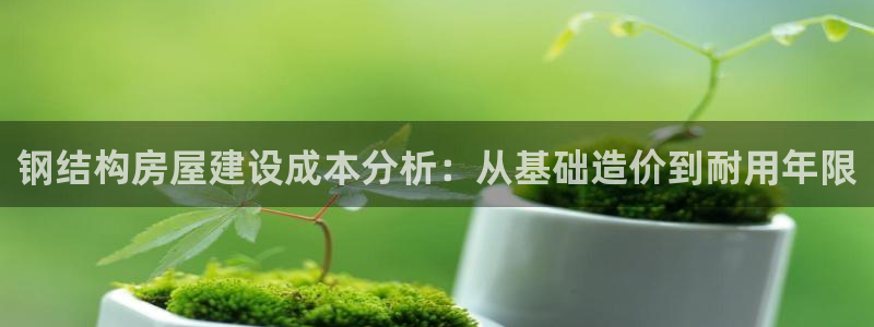 安卓12微信：钢结构房屋建设成本分析：从基础造价到耐用年限