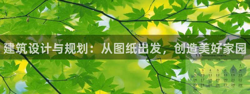 安信可12f代码：建筑设计与规划：从图纸出发，创造美好家园