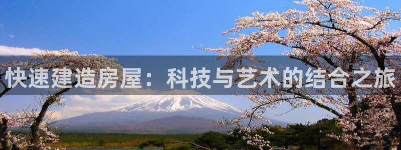 安立信T12测评：快速建造房屋：科技与艺术的结合之旅