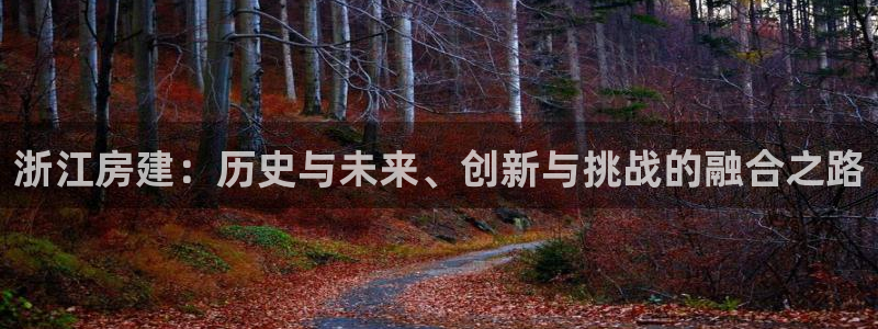 安信12是正规还是仿：浙江房建：历史与未来、创新与挑战的融合之路