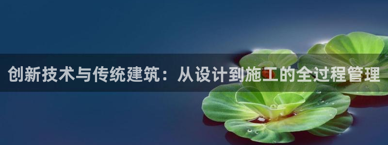 安信12平台注册：创新技术与传统建筑：从设计到施工的全过程管理
