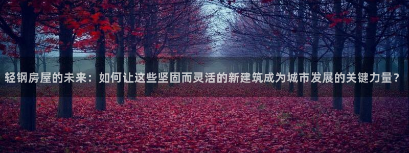 安信12娱乐7o777还：轻钢房屋的未来：如何让这些坚固而灵活的新建筑成为城市发展的关键力量？